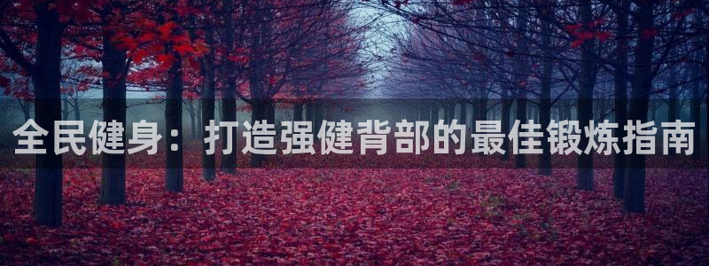 尊龙t400和尊龙t300区别：全民健身：打造强健背部的