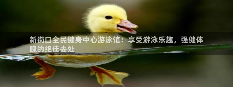 d88尊龙官网登录免费下载：新街口全民健身中心游泳馆：享