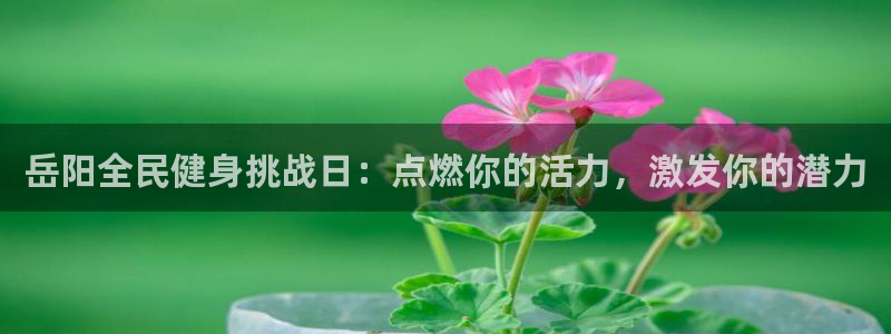 Ag尊龙平台：岳阳全民健身挑战日：点燃你的活力，激发你的