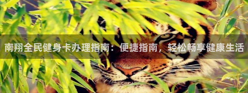 尊龙集团有限公司招聘：南翔全民健身卡办理指南：便捷指南，