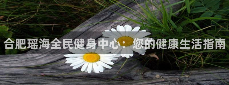 尊龙人生就是博官网登录手机：合肥瑶海全民健身中心：您的健