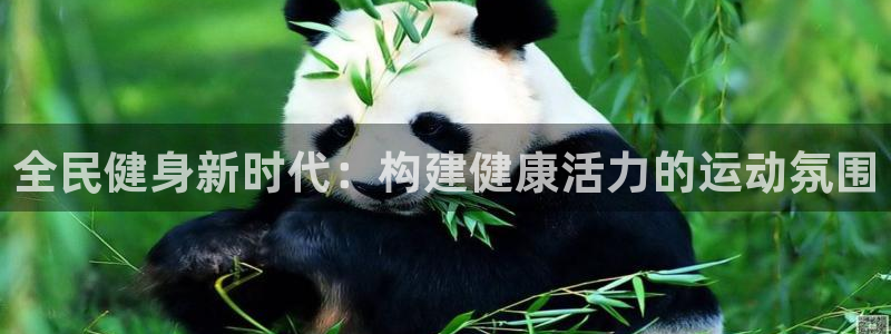 尊龙凯时企业文化：全民健身新时代：构建健康活力的运动氛围