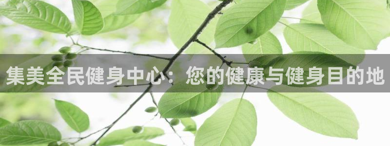 尊龙网站手机下载：集美全民健身中心：您的健康与健身目的地