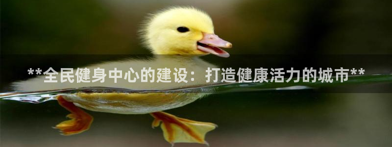 尊龙凯时干什么的：**全民健身中心的建设：打造健康活力的