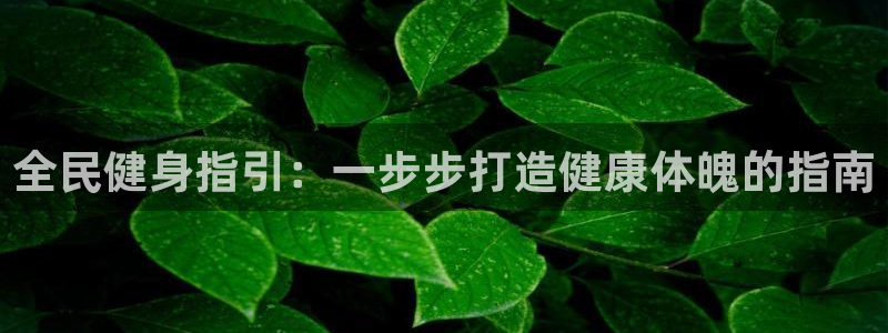 尊龙凯时企业文化：全民健身指引：一步步打造健康体魄的指南