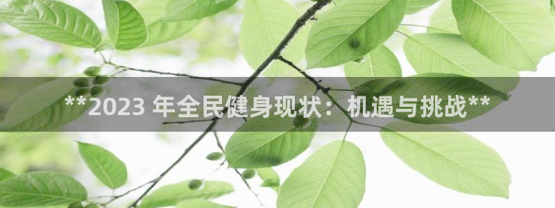 尊龙ag旗舰厅手机版：**2023 年全民健身现状：机遇