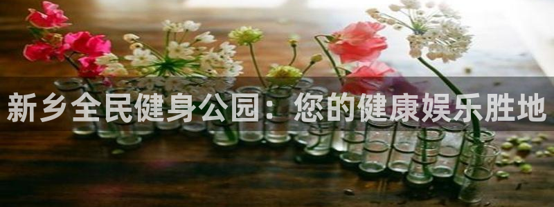 尊龙实业有限公司是正规还是仿：新乡全民健身公园：您的健康
