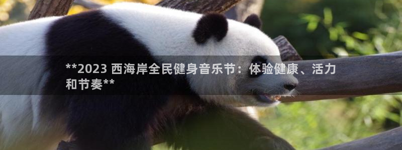 尊龙实业有限公司是正规还是仿：**2023 西海岸全民健