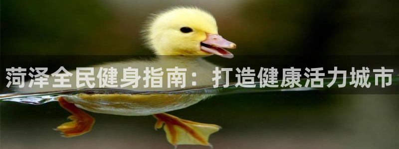 d88尊龙官网登录免费下载：菏泽全民健身指南：打造健康活