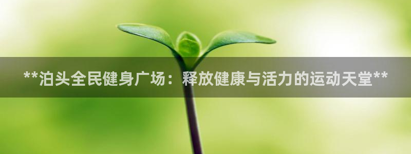 尊龙凯时 - 人生就是搏!：**泊头全民健身广场：释放健