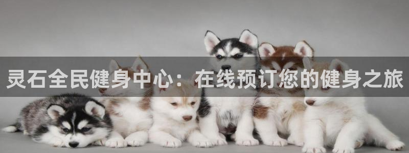z6尊龙凯时集团：灵石全民健身中心：在线预订您的健身之旅