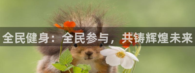 凯时官网