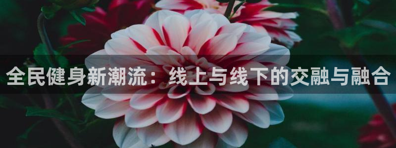 尊龙d88平台