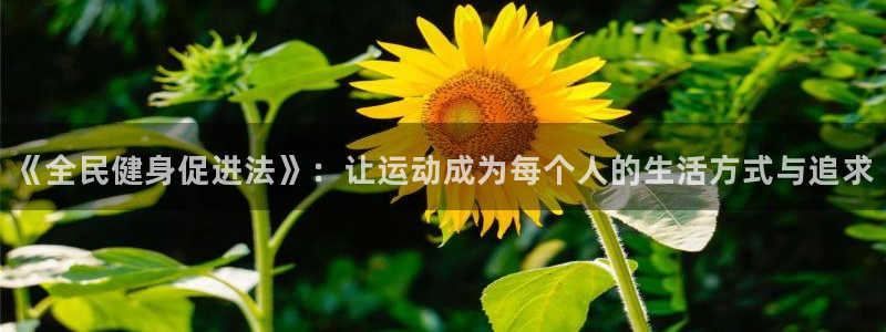 尊龙凯时代理