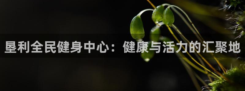尊龙凯时ag旗舰厅官