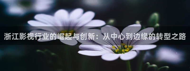 五月天色婷婷影院：浙江影视行业的崛起与创新：从中心到边缘的转型之路