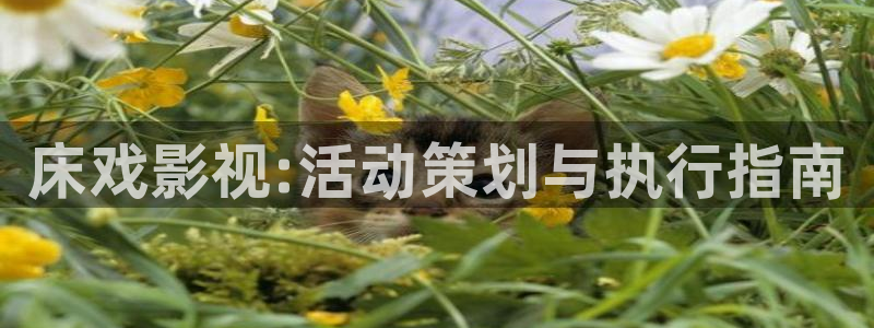 色婷婷在线影院：床戏影视:活动策划与执行指南