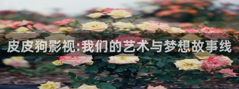五月色婷婷影院在线：皮皮狗影视:我们的艺术与梦想故事线