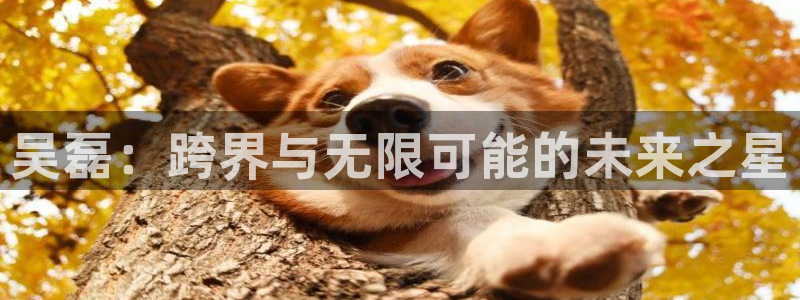 色婷婷综合影院：吴磊：跨界与无限可能的未来之星