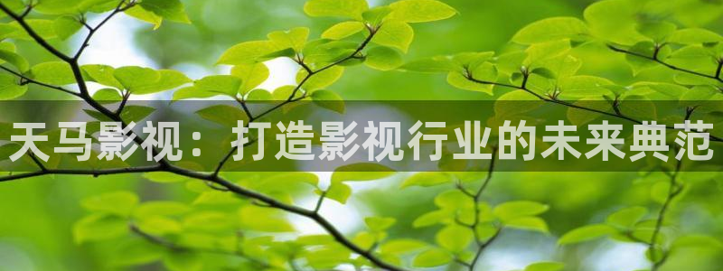 色婷婷电影网：天马影视：打造影视行业的未来典范