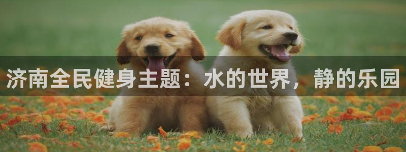 尊龙手机版下载