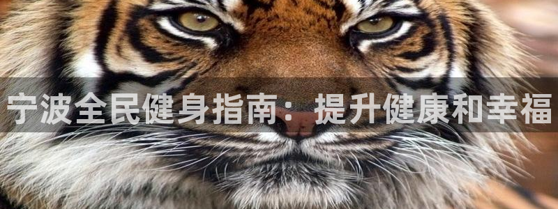 尊龙凯时官方网页：宁波全民健身指南：提升健康和幸福