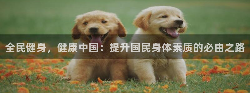 凯时尊龙官网网址：全民健身，健康中国：提升国民身体素质的