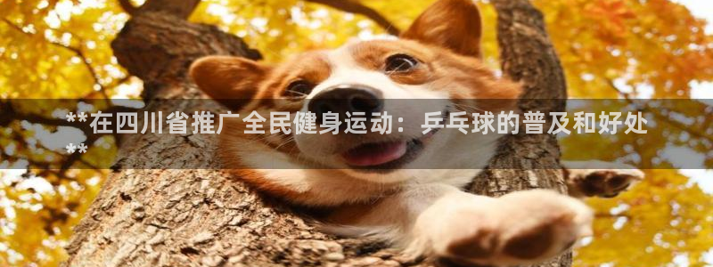 d88尊龙手机登录下载：**在四川省推广全民健身运动：乒