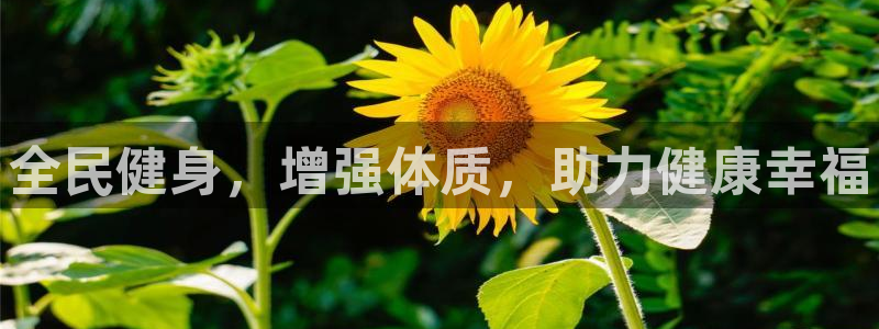 尊龙凯时官网版登录：全民健身，增强体质，助力健康幸福
